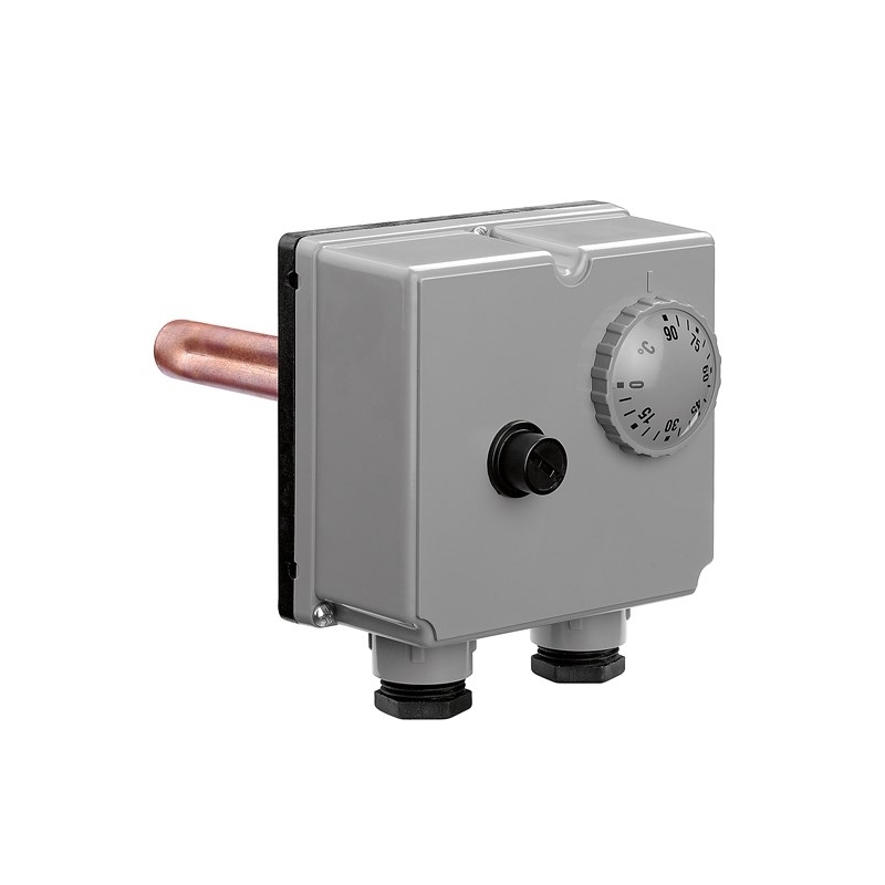 Bitermostato ad immersione - Caleffi