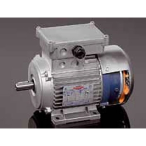 Motore elettrico autofrenante - Trifase - Monofase
