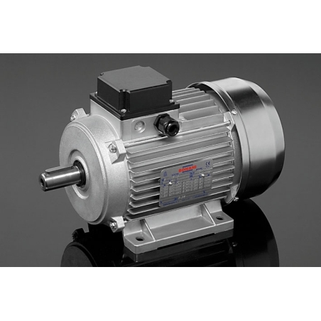 Motore elettrico 20 HP - 15 kW