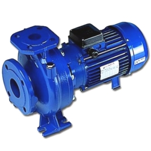 Lowara FHE pompe centrifughe monoblocco ghisa EN 733