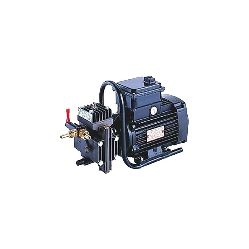 Trial-D - Motopompa irrorazione - 1 Hp
