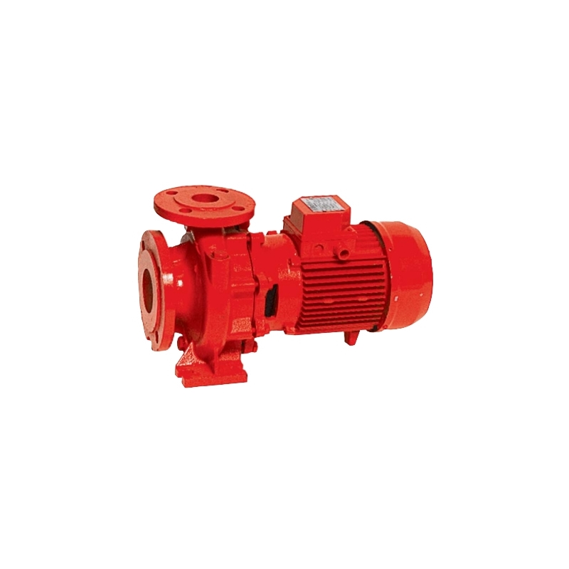 Salmson BRL - Pompe centrifughe monolocco ghisa 733
