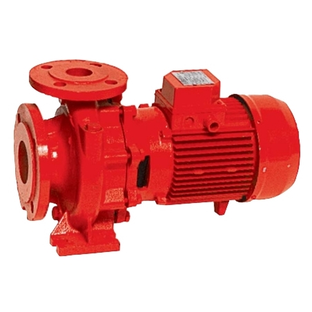 Salmson BRL - Pompe centrifughe monolocco ghisa 733