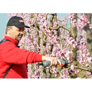 Lisam Blade Gt - Forbice elettrica da potatura
