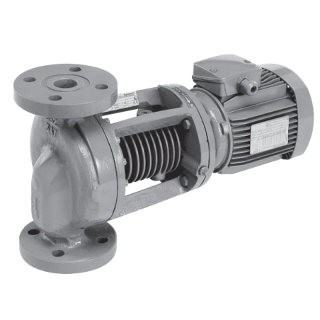 Pompa per fluidi diatermici - 350 gradi - Get-C - Salmson