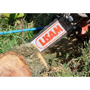 Lisam Sky-Man 10" - 1/4 - Seghetto potatura