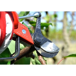 Lisam Sly - Rapid - Asta - Forbici pneumatiche potatura
