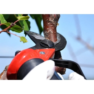 Lisam Sly - Rapid - Asta - Forbici pneumatiche potatura
