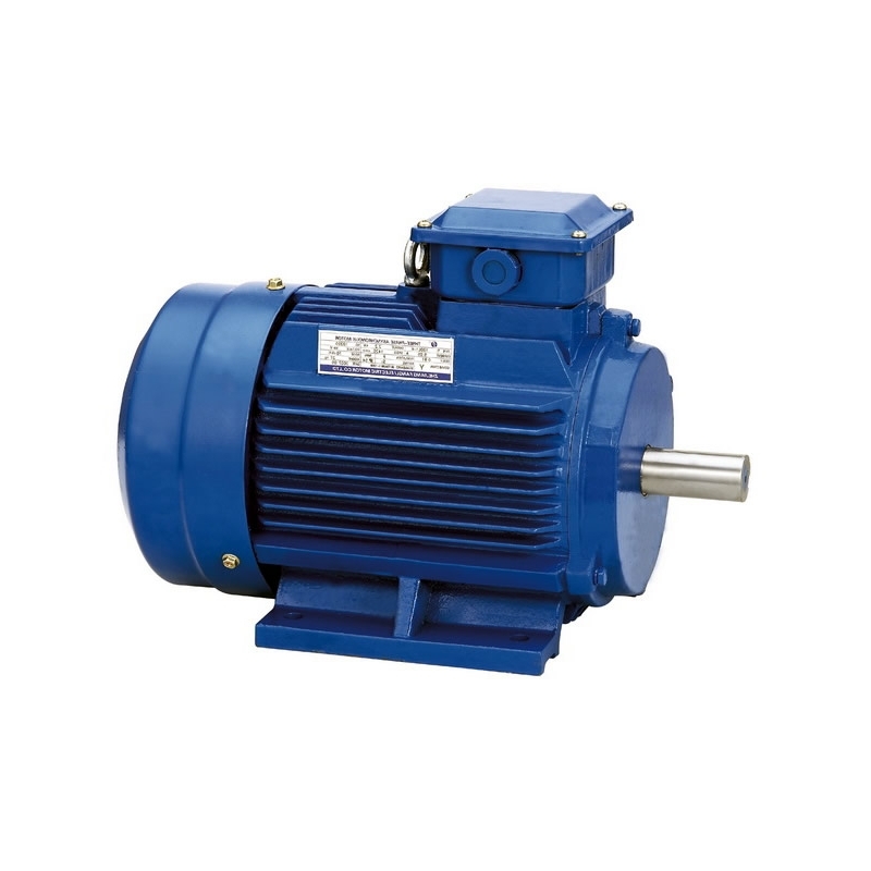 Motori elettrici per pompe - B3 - B5 - B14 - Atex - Monofase - Trifase