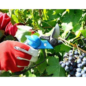 Lisam 4 Win - Forbice pneumatica potatura vigne