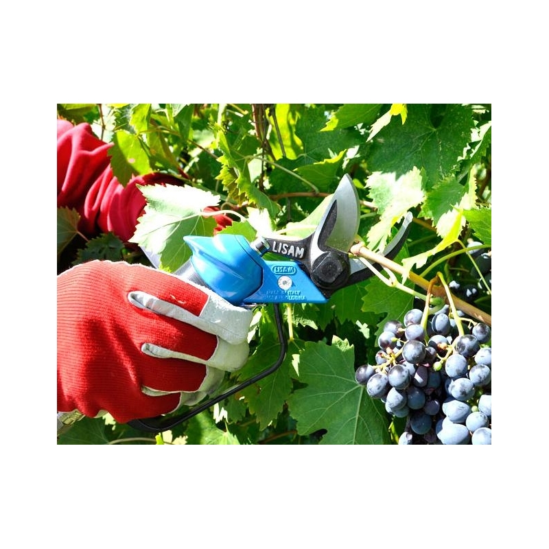 Lisam 4 Win - Forbice pneumatica potatura vigne