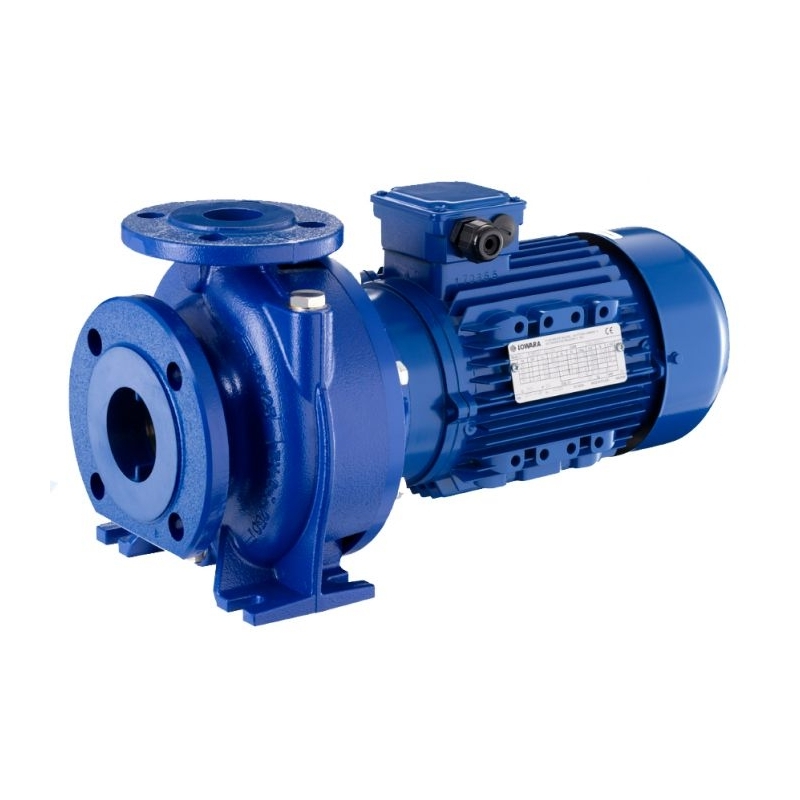 Lowara NSCE 65-125/110/P25VCC4 ELETTROPOMPA CENTRIFUGA ORIZZONTALE 101840640