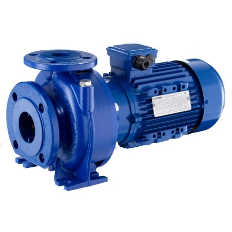 Lowara NSCE 65-125/110/P25VCC4 ELETTROPOMPA CENTRIFUGA ORIZZONTALE 101840640