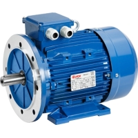 Motori elettrici Monofase - Trifase