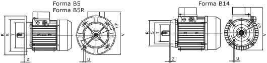 b5.jpg