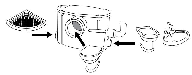 2805.jpg